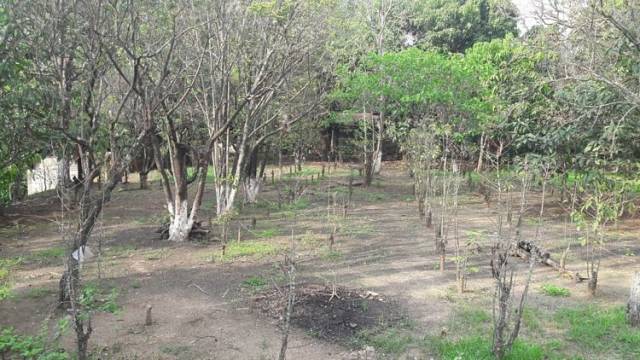 Terreno en Venta y Renta en Granjas Gerona - Image 2
