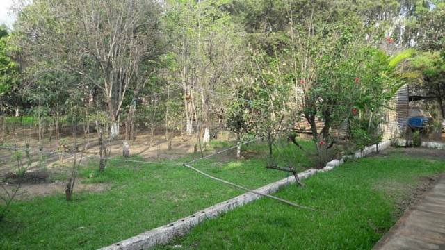 Terreno en Venta y Renta en Granjas Gerona - Image 3