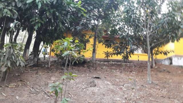 Terreno en Venta y Renta en Granjas Gerona - Image 4