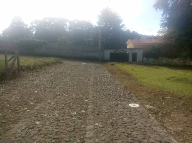 Vendo Terreno en Hermoso Sector de San Lucas - Image 2