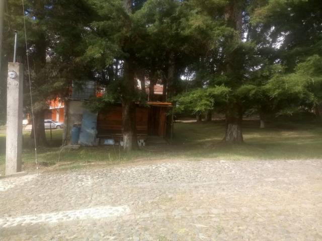 Vendo Terreno en Hermoso Sector de San Lucas - Image 3
