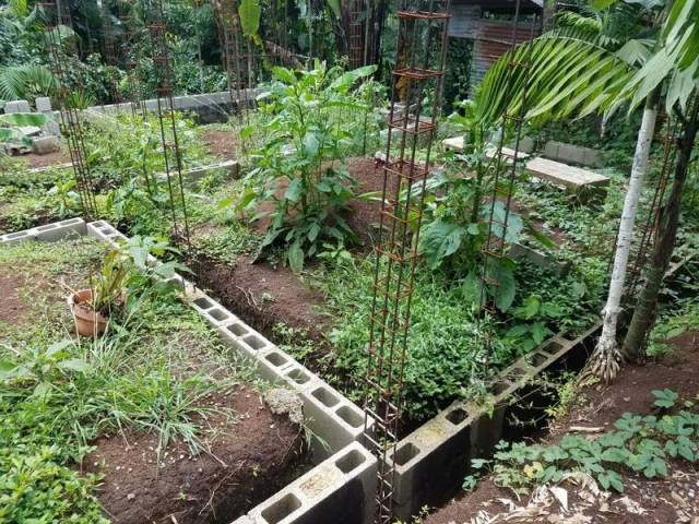 Terreno en Venta en El Cerrito, Fraijanes, Guatemala - Miniatura 2