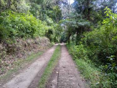 Hermoso Terreno Inclinado en San Lucas Venta - Image 1