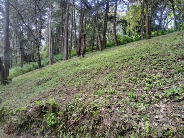 Hermoso Terreno Inclinado en San Lucas Venta - Image 3