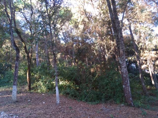 Terreno en Venta en Granjas Praderas del Bambú 2 - Image 3