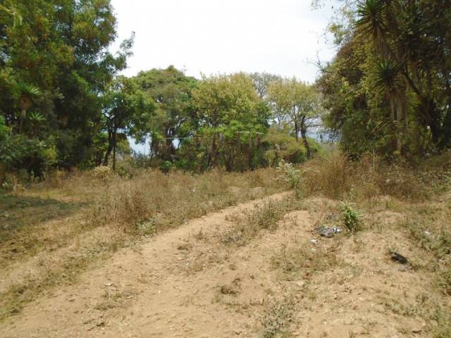 VENTA DE TERRENO EN SAN MIGUEL MILPAS ALTAS - Image 2