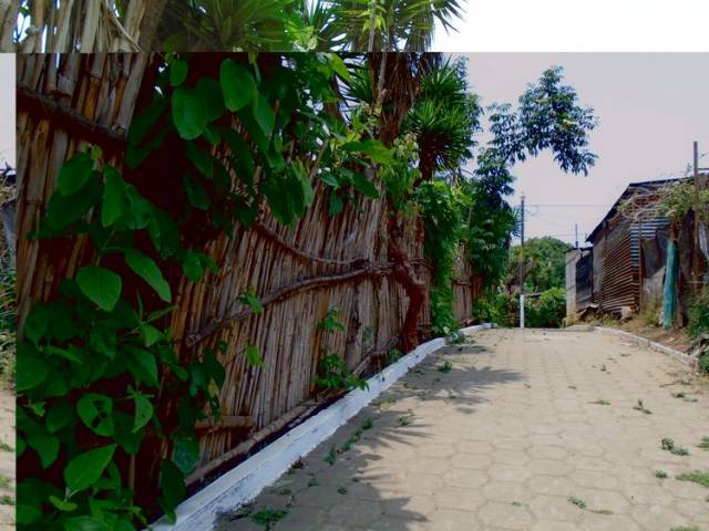 VENTA DE TERRENO EN SAN MIGUEL MILPAS ALTAS - Image 3
