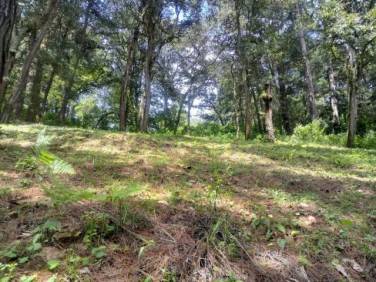 Hermoso Terreno Inclinado en San Lucas - Image 1