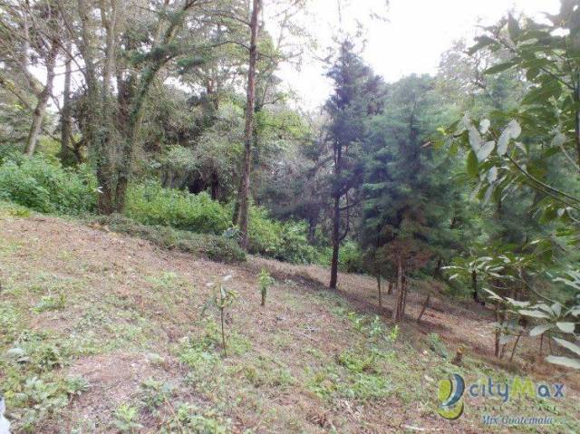 Hermoso Terreno Inclinado en San Lucas - Image 2