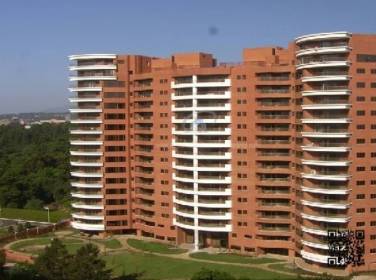 AMPLIOS APARTAMENTOS EN RENTA TADEUS ZONA 14 - Image 1