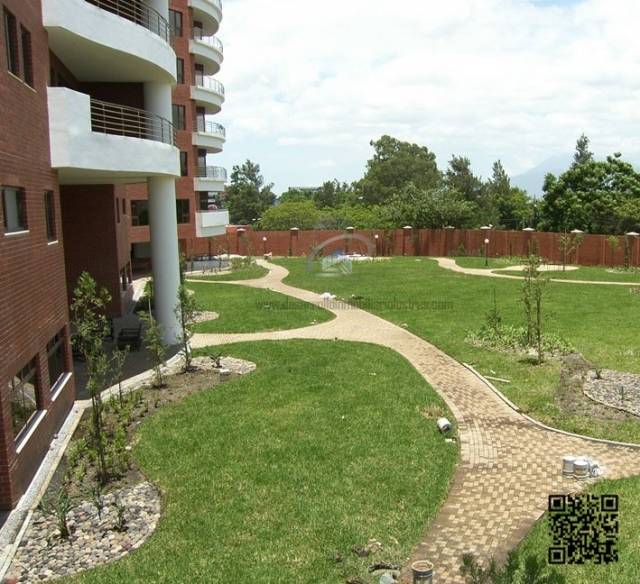 AMPLIOS APARTAMENTOS EN RENTA TADEUS ZONA 14 - Miniatura 9