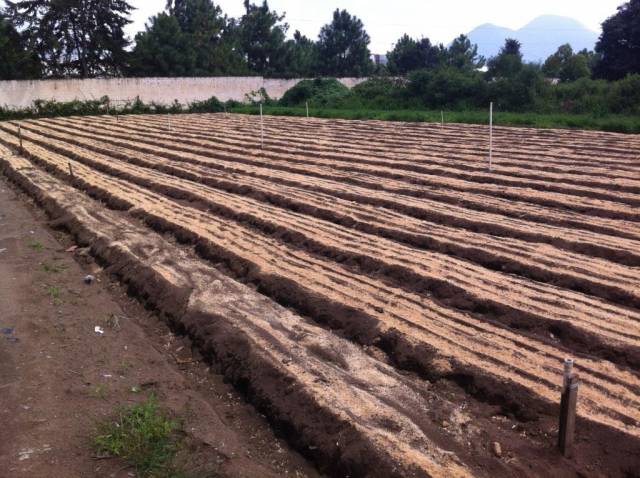 Vendo Terreno en Chimaltenango INF 5805-0508 / 5835-4656 - Image 3