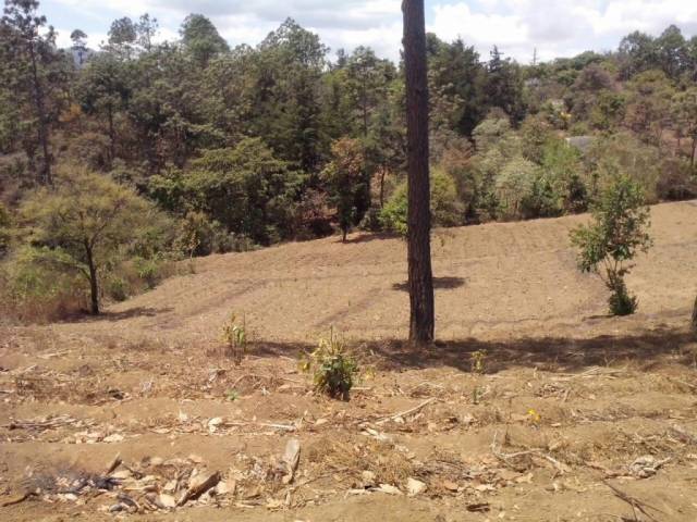Vendo Terreno en Chimaltenango INF 5805-0508 / 5835-4656 - Image 5