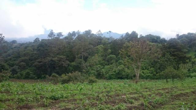Vendo Terreno en Chimaltenango INF 5805-0508 / 5835-4656 - Miniatura 6