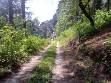 Hermoso Terreno Inclinado en San Lucas - Image 1