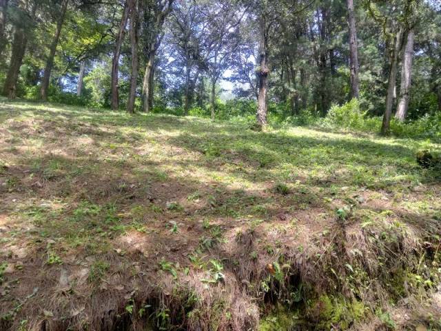 Hermoso Terreno Inclinado en San Lucas - Image 2
