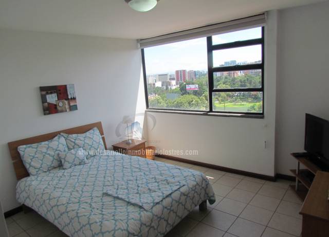 EN RENTA APARTAMENTO AMUEBLADO ZONA 14 - Miniatura 8