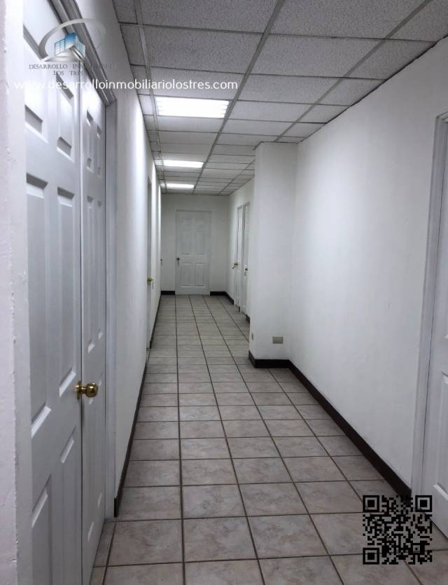 EDIFICIO EN RENTA ZONA 10, SOBRE CALZADA PRINCIPAL - Miniatura 6
