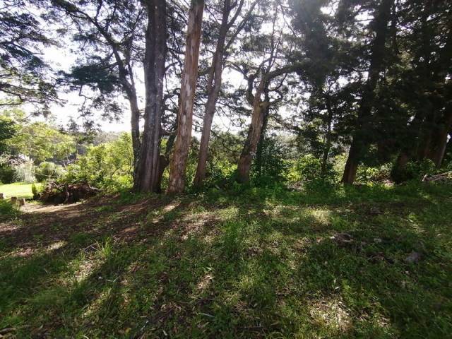 Terreno en Venta Sobre la Carretera a Fraijanes - Image 2