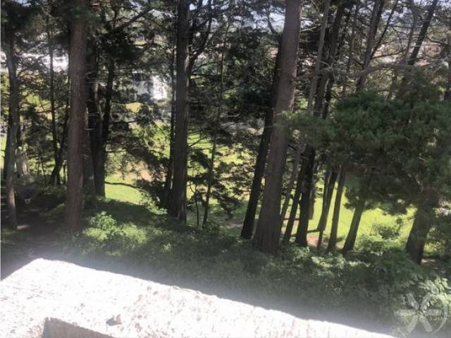 Vendo Amplia casa en Jardines de Arrazola km 19.5 Fraijanes, - Miniatura 10