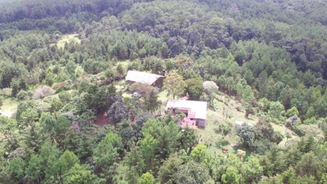 CityMax Antigua Finca venta Sajcavillá San Juan Sacatepéquez - Image 4