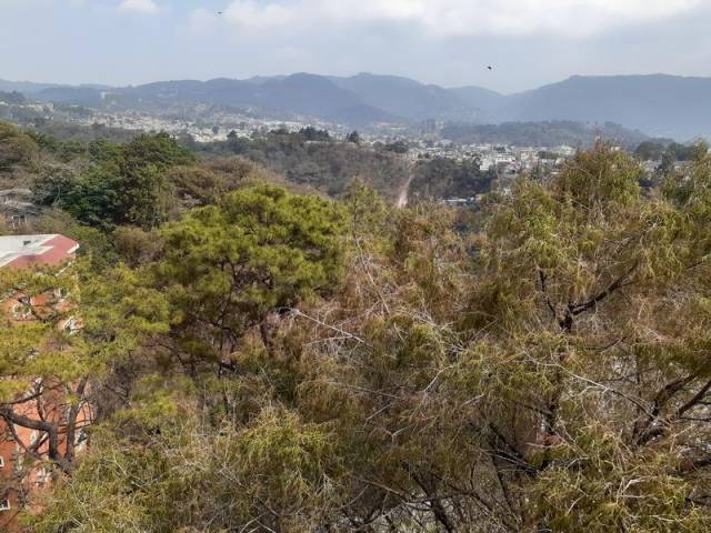 Apartamento en Renta Zona 13 Monte Azul - Miniatura 10