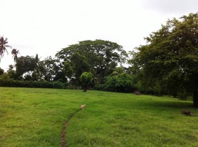 CityMax Antigua Venta Finca en carretera hacia Puerto San José - Miniatura 2
