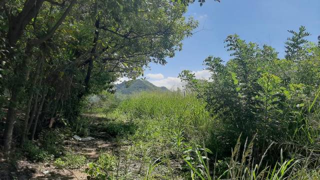 Terreno en Renta en Km. 22.5 carretera al Atlántico - Image 3