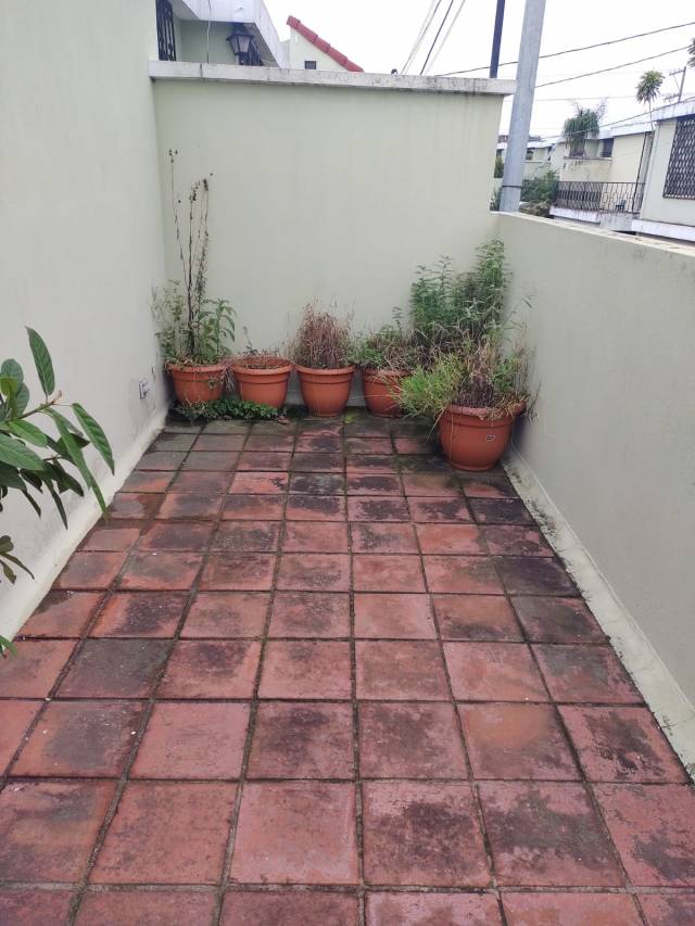 (+1) Casa Residenciales San Carlos, Zona 11 - Miniatura 7