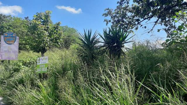 Terreno Comercial en Alquiler KM 22.5 Al Atlántico - Miniatura 2