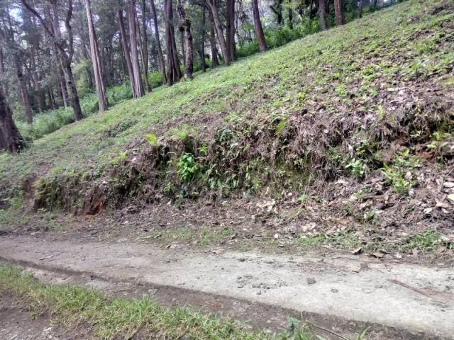 Terreno en Venta En Carretera a El Manzanillo San Lucas - Miniatura 5