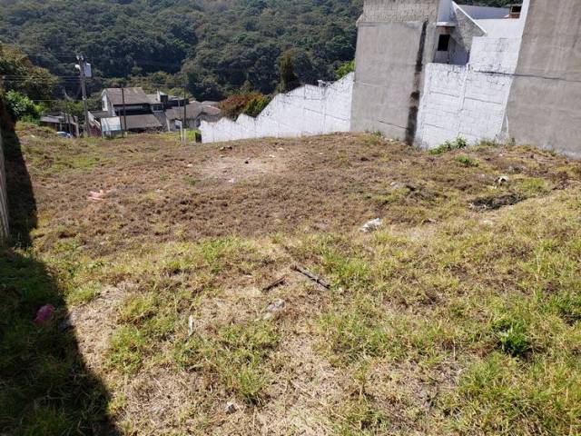 Terreno de 14x40mts en Venta en San Cristobal - Image 2