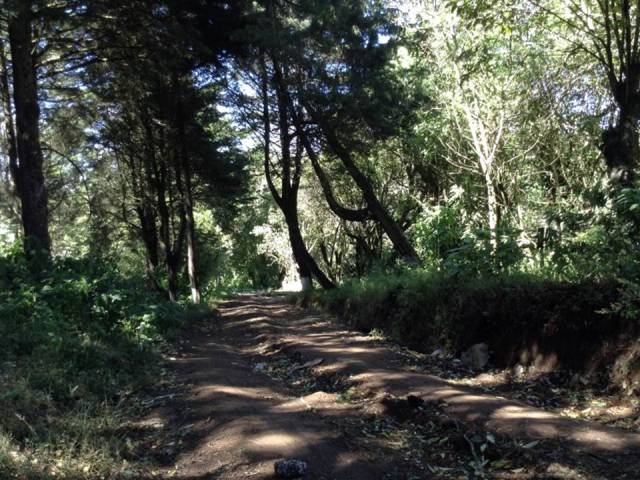 Terrenos en Fraijanes, El Sausalito, - Miniatura 3