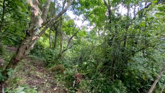 Terrenos en venta en el encinal zona 7 de mixco - Image 2