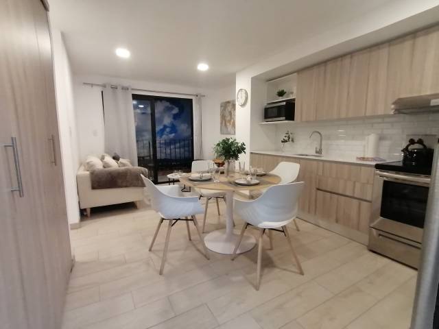 Apartamento en Venta Zona 12 frente Plaza Maderos - Miniatura 9