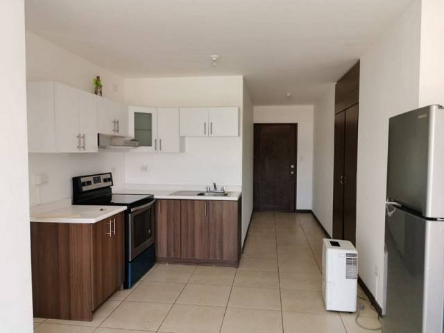 Apartamento en Venta y Renta en Pórtico Zona 7 - Miniatura 3