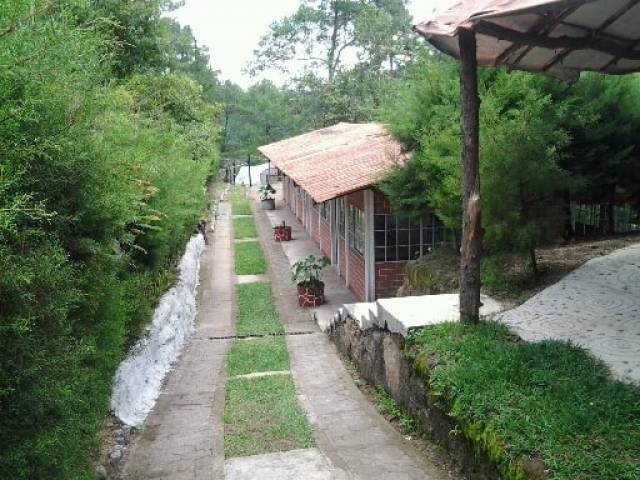Vendo Terreno Comercial en San Juan Sac - Miniatura 4