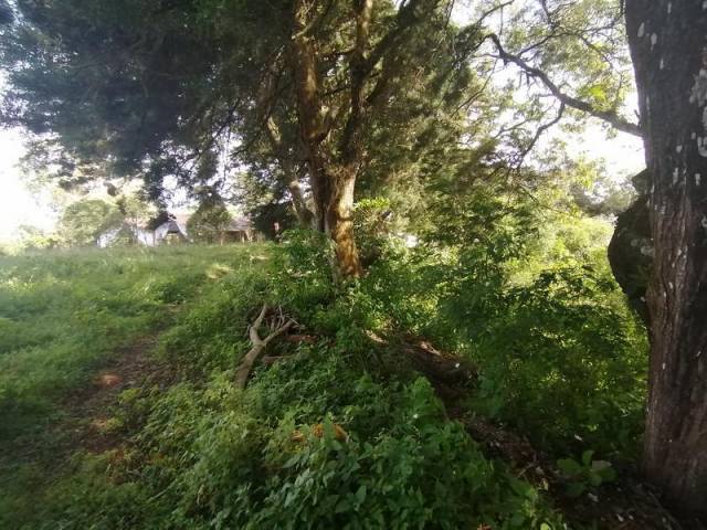 Terreno en Venta Sobre la Carretera a Fraijanes - Image 2