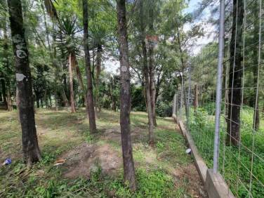 Terreno en Renta para Vivero o Restaurante tipo Pérgola