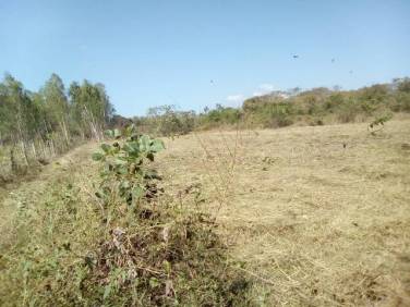 Terreno en Venta - Image 1
