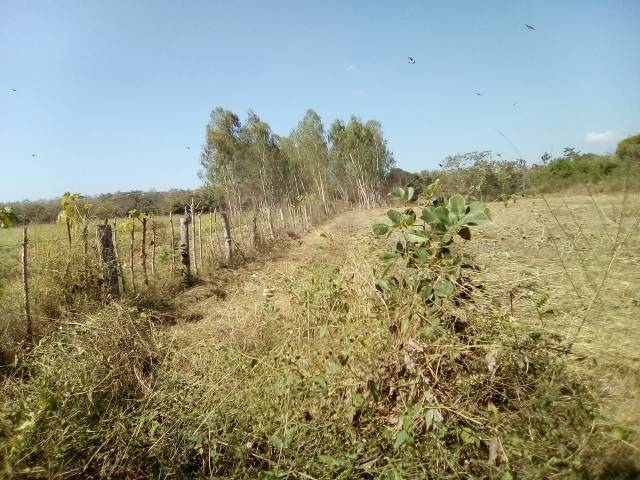 Terreno en Venta - Image 2