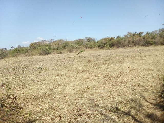 Terreno en Venta - Image 3