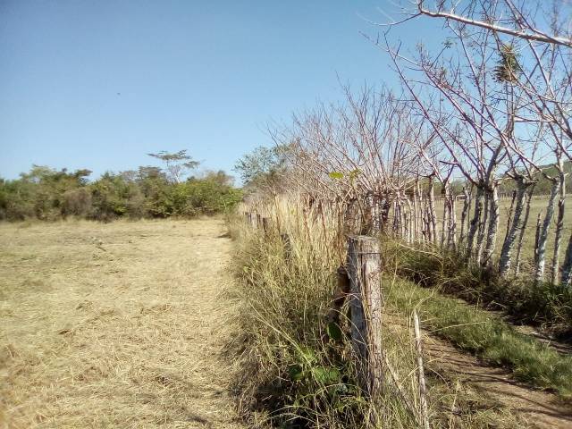 Terreno en Venta - Image 4