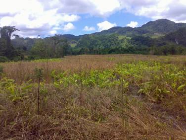Comprar Finca Chisec Sepalau - Image 1