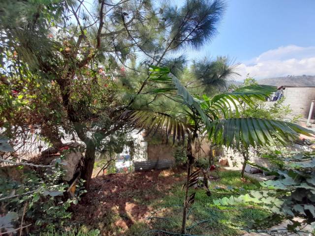 TERRENO EN VENTA SOBRE RUTA NACIONAL 14, CIUDAD VIEJA - Image 2