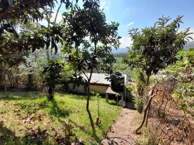 TERRENO EN VENTA SOBRE RUTA NACIONAL 14, CIUDAD VIEJA - Image 4