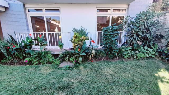 Apartamento en renta en zona 13 avenida hincapie - Image 3
