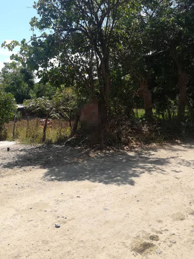 Urgue vender terreno en los achiotes - Image 2