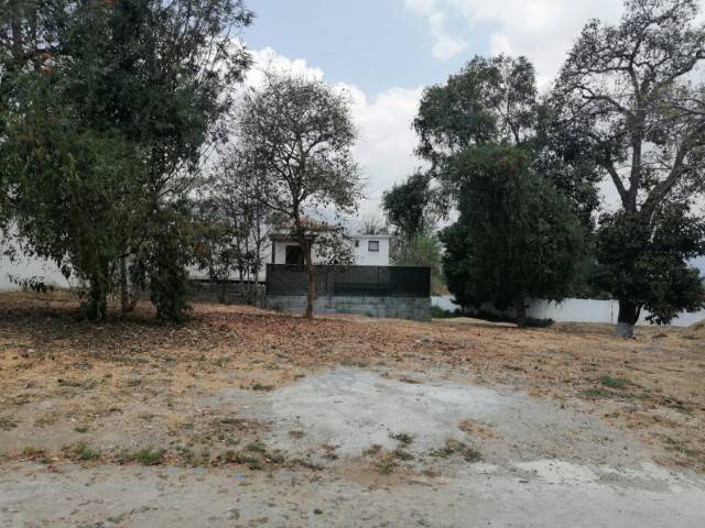Terreno en Venta Residenciales El Cafetal Ciudad Vieja - Miniatura 2