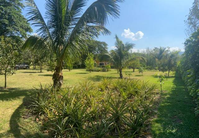 Casa Amueblada en Venta Campo Aventura, Escuintla - Miniatura 6